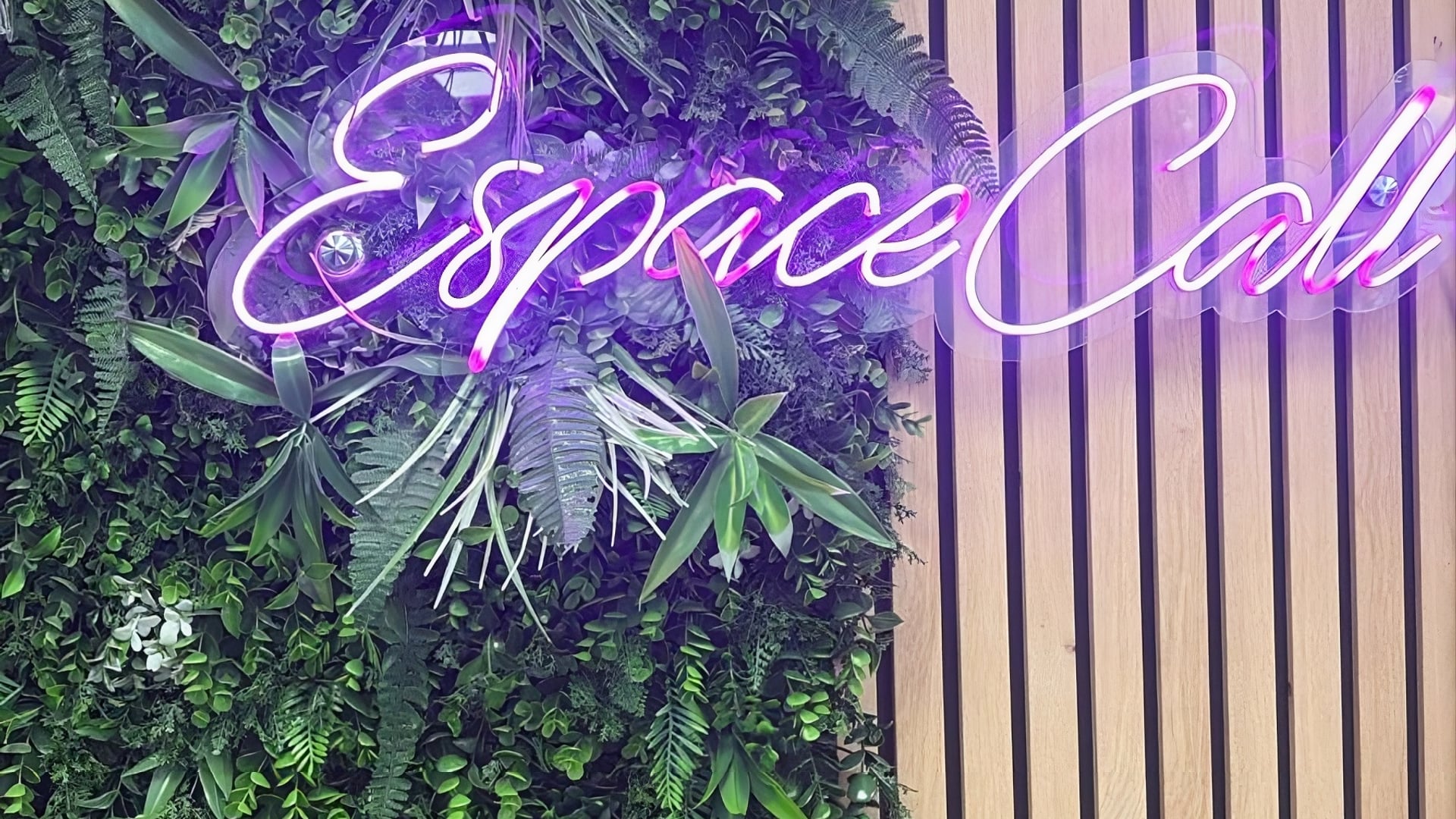 Aperçu du site Espace Call — réparation mobile Grenoble Saint-Bruno